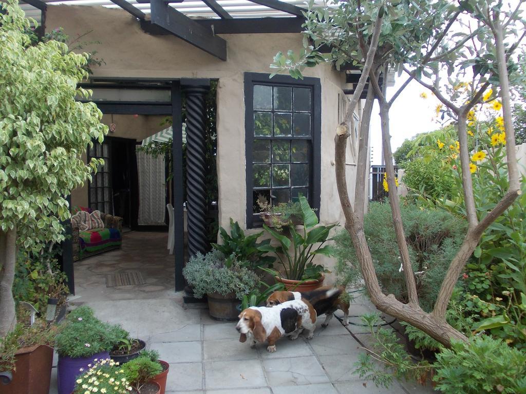 Villa Ocean Crest B&B Gansbaai Dış mekan fotoğraf