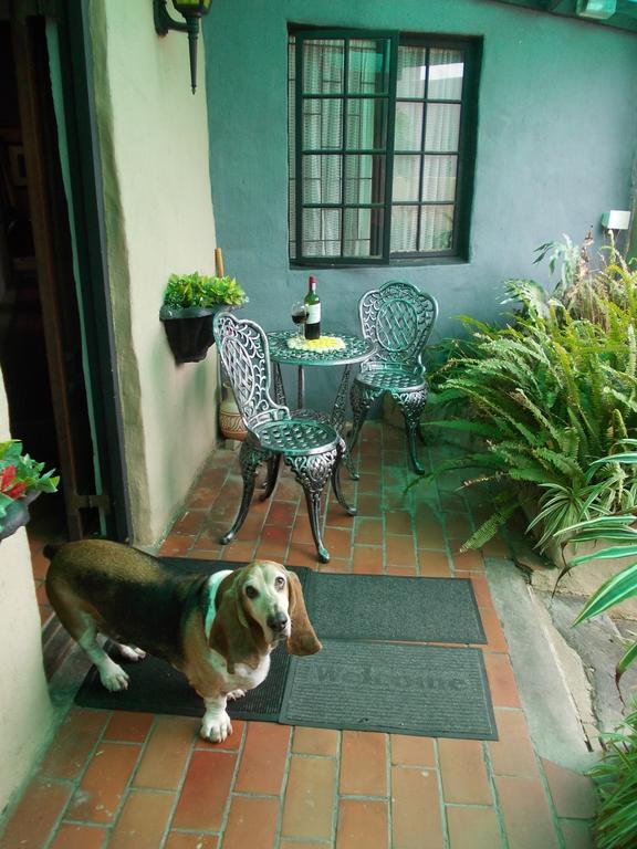 Villa Ocean Crest B&B Gansbaai Dış mekan fotoğraf