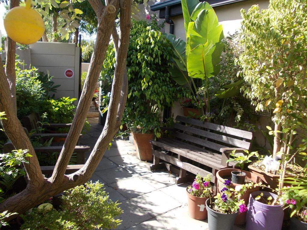 Villa Ocean Crest B&B Gansbaai Dış mekan fotoğraf