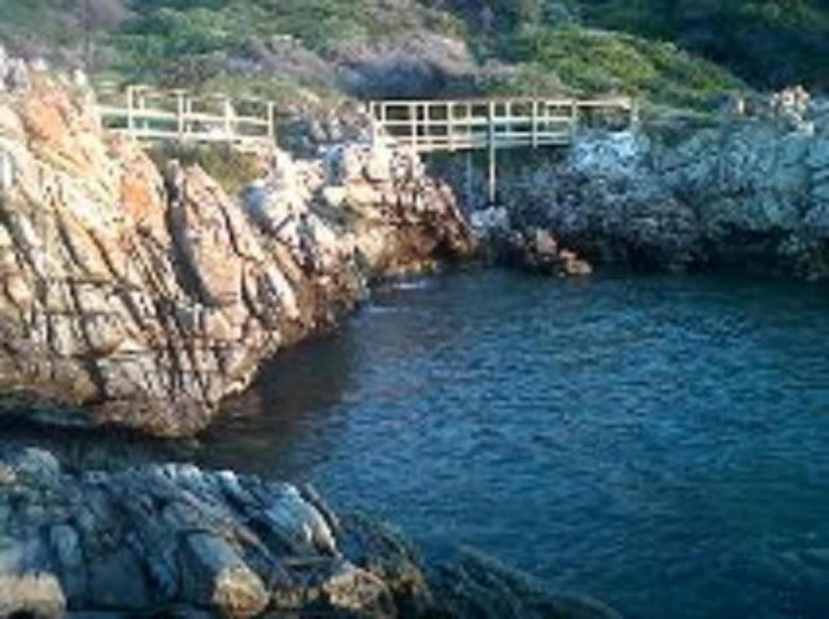 Villa Ocean Crest B&B Gansbaai Dış mekan fotoğraf